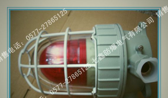 供应防爆声光组合报警器24V