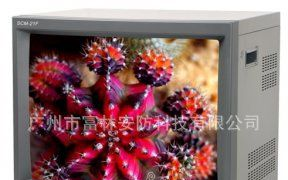 供应响石21寸监视器SCM-21F 数码彩色监视器