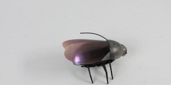 305-奇苹果遥控仿真甲虫-遥控萤光甲虫-