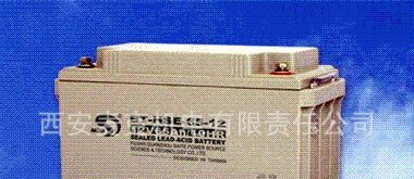 西安(BT-HSE-100-12)蓄电池/台湾赛特免维护蓄电池/西北办事处