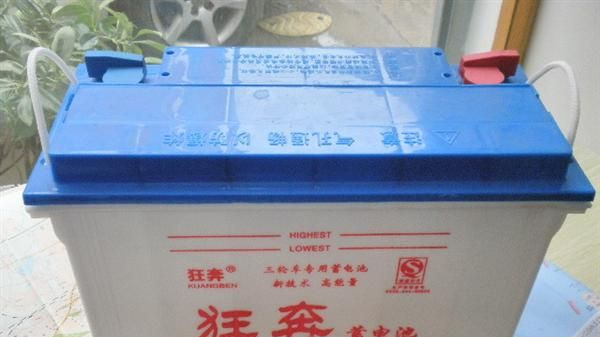 乐清 柳市镇 批发电瓶三轮车 电动三轮车用铅酸蓄电池