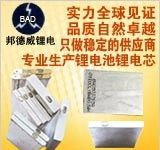供应品牌BAD邦德威各种LED灯池电子仪器锂电池(图)