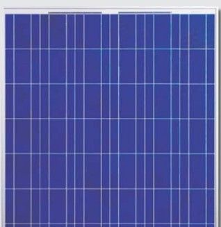 先行新能源供应优质SUN-160-24-P太阳能光伏电池