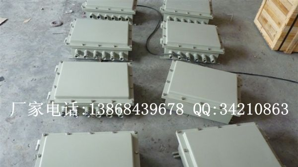 BXJ51系列防爆接线盒(IIB、IIC、e、DIP) BXJ51防爆接线箱