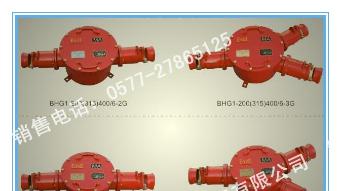 两通电缆接线盒BHG2-400A/10KV-2G矿用高压接线盒/