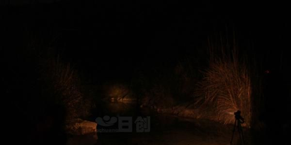 双光源T6白光SPE 5W黄光户外充电强光头灯全新上市
