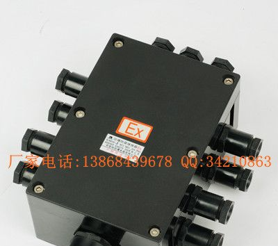 BXJ8050防爆防腐接线箱(e、DIP) 20A防爆防腐接线箱 塑壳防爆接线箱