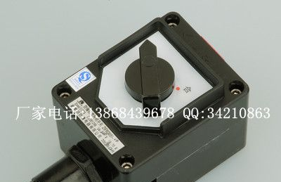 BZM8050防爆防腐照明开关(ⅡC) BZM8050防爆照明开关 10A防爆防腐照明开关