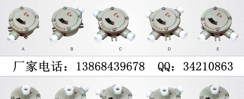 BHD51系列防爆接线盒(IIB、IIC) G1/2防爆接线盒, G3/4防爆接线盒, G1防爆接线盒