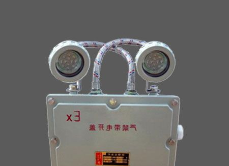 BFC8185_LED双头防爆应急灯