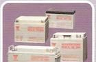 供应汤浅蓄电池，全国畅销产品