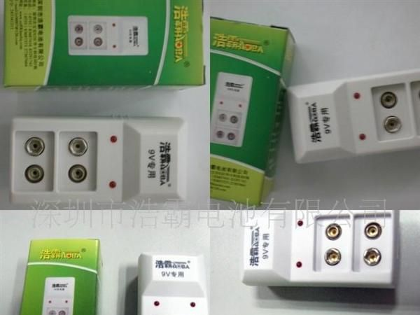 批发供应 9V电池 自动停充充电器(图)