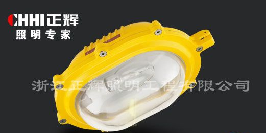 供应BYC6120内场防爆强光泛光灯