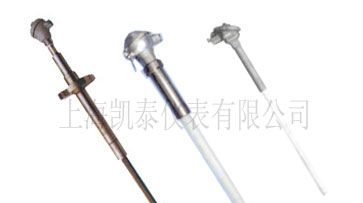 供应F46热电偶 高温防腐热电偶 防腐铂热电阻 防腐铂电阻