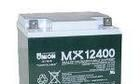 供应河北友联蓄电池MX12310现货