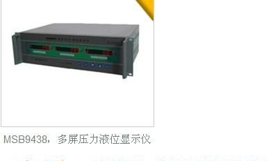 供应MSB9438，MSB9438液位显示仪，MSB9438麦克品牌
