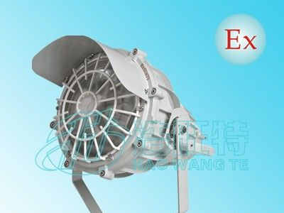供应防爆投光灯，250W防爆投光灯，400W防爆投光灯
