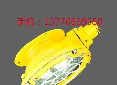 供应BCW6219 防爆吸顶灯