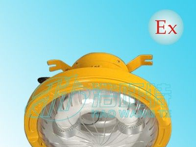 浩旺特防爆无极灯厂家供应防爆无极平台灯，一体式防爆无极灯
