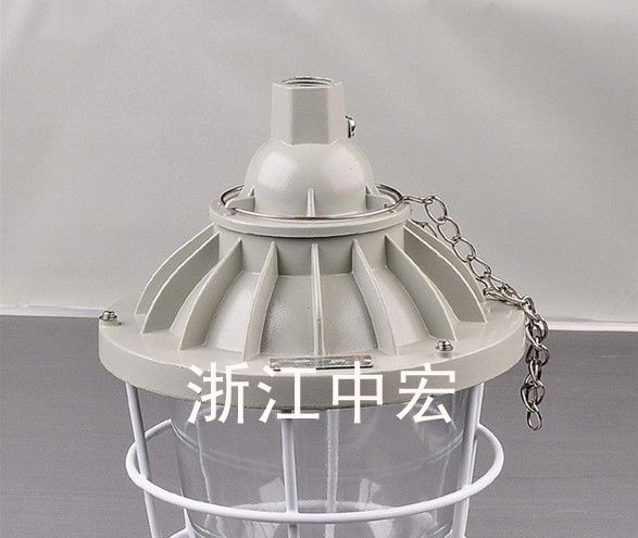 供应BAD51-100隔爆型防爆灯，浙江的供应商厂家
