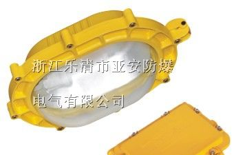 BFC8120内场强光防爆泛光灯 BFC8120防爆内场强光泛光灯