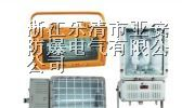 BAT52防爆泛光灯 BAT52防爆泛光灯ⅡC级 亚安防爆泛光灯批发