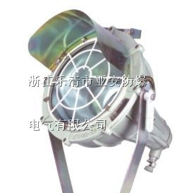 BAT51防爆投光灯 BAT51防爆投光灯ⅡC级 亚安防爆投光灯