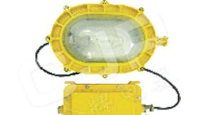 BFE8120内场防爆应急灯