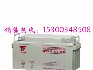 供应汤浅12V65AH  汤浅蓄电池供应商