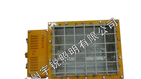 供应BTC6150防爆泛光灯