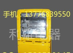 供应BFC8110_防爆泛光灯