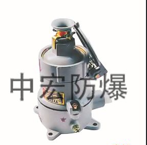 BCX53系列防爆插销，浙江中宏防爆电器