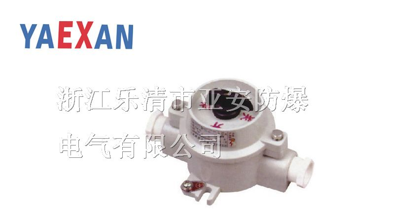 BZM-10防爆照明开关 BZM防爆照明开关 照明开关