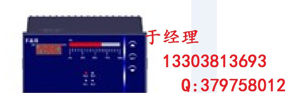 供应XMG5000 厂家 XMG5000 价格 光柱数显表 百特