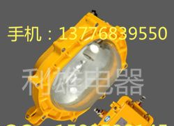 供应BFE8120_内场强光防爆应急灯
