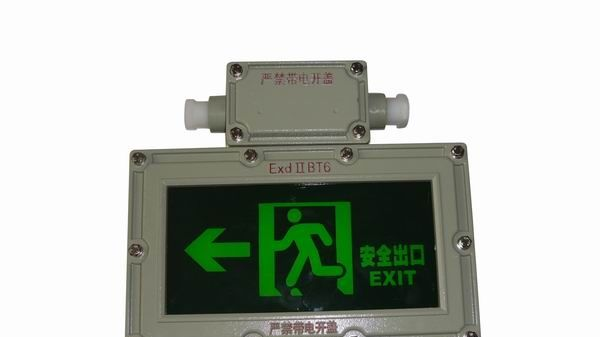 供应BAYD81防爆标志灯