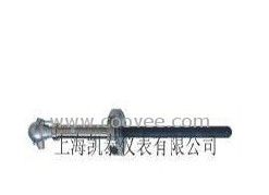 供应碳化硅热电偶 耐磨热电偶