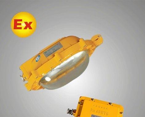 BFE8120-J70内场防爆应急灯