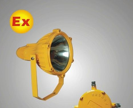 BTC8210-J250防爆投光灯