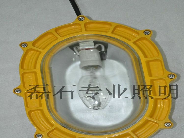 BFE8120防爆应急泛光灯 BFE8120气体放电灯 停电时使用防爆灯