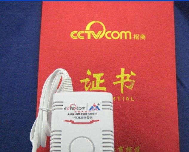 供应煤烟报警器.壁挂式220V一氧化碳报警器