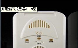 供应硫化氢报警器
