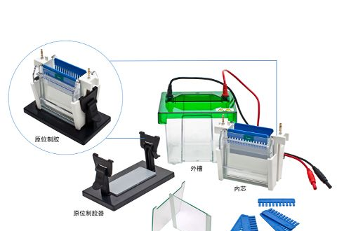 JY-SCZ2+型多功能垂直电泳仪 南京上海