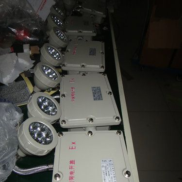 供应优质防爆灯，LED防爆应急灯，双头应急灯 IIB