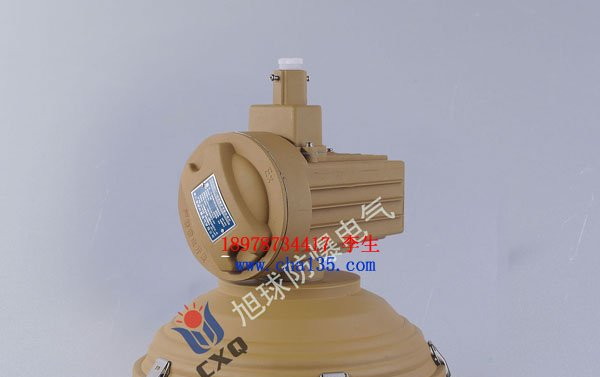 80W电磁感应灯 80W防爆防腐灯