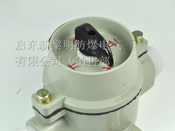 供应SW-10防爆照明开关,照明防爆开关