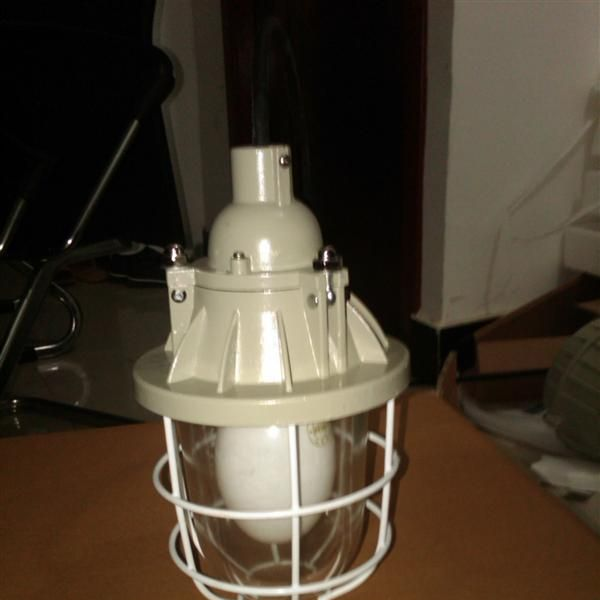 GCD5012-L150隔爆型防爆灯