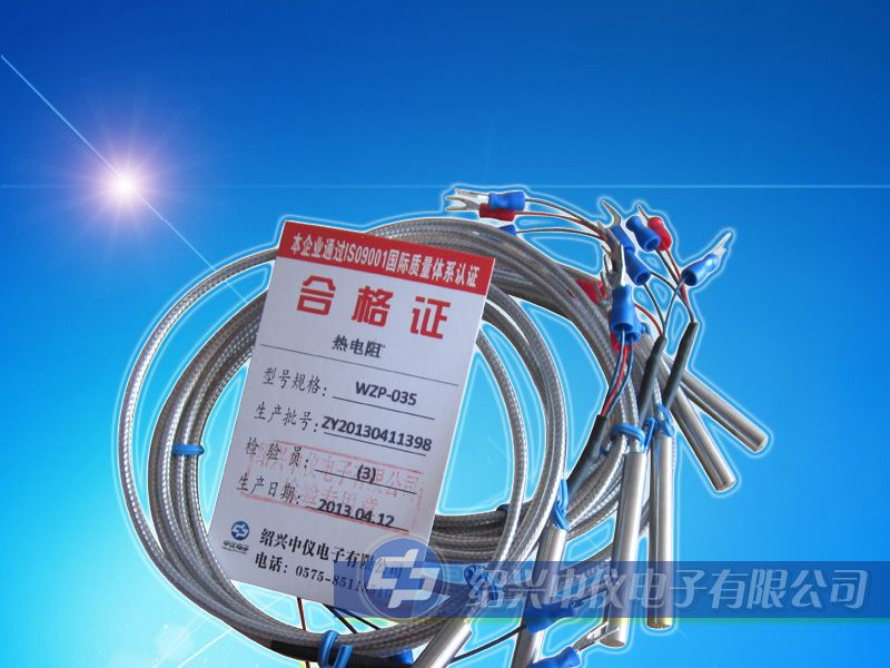 供应绍兴中仪 PT100热电阻