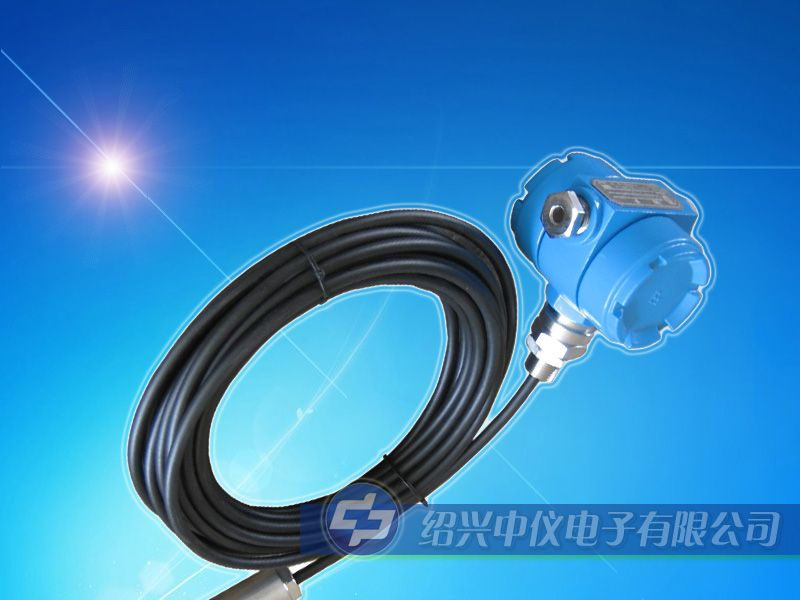 供应绍兴中仪 ZYK24投入式液位计