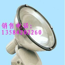 《LED特种照明灯销售商》ZT6900 CYGT310防震投光灯
